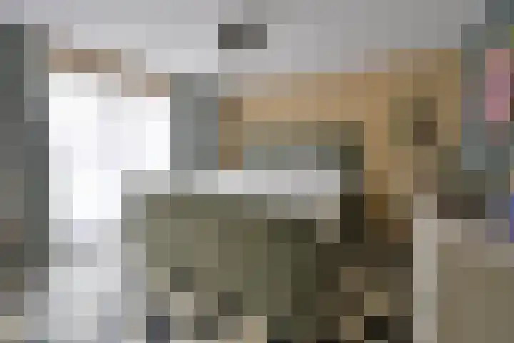 Albert Grootlaan 6 Naarden thumbnail 20