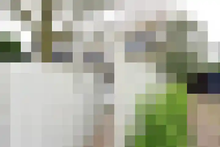 Albert Grootlaan 6 Naarden thumbnail 24