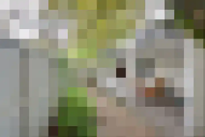 Albert Grootlaan 6 Naarden thumbnail 25