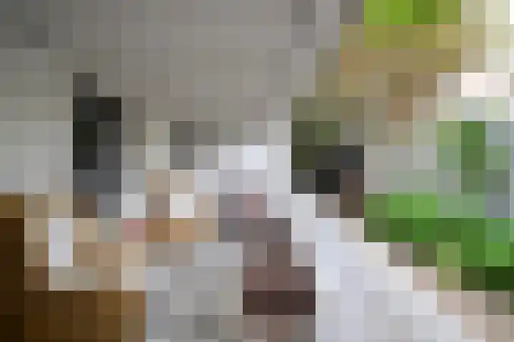 Albert Grootlaan 6 Naarden thumbnail 26