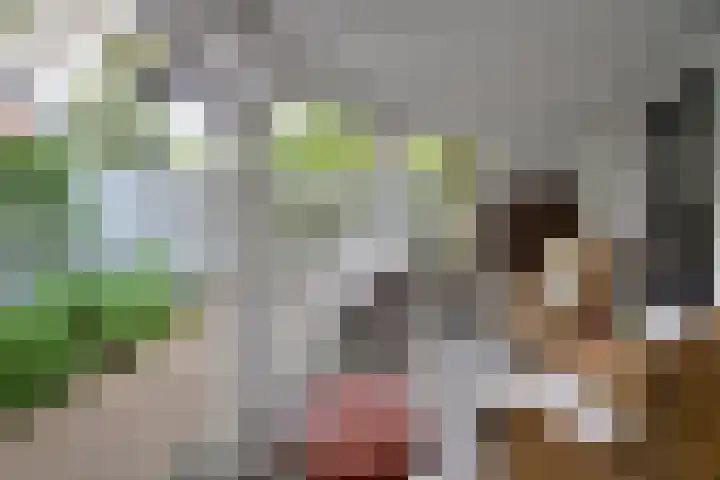 Albert Grootlaan 6 Naarden thumbnail 27