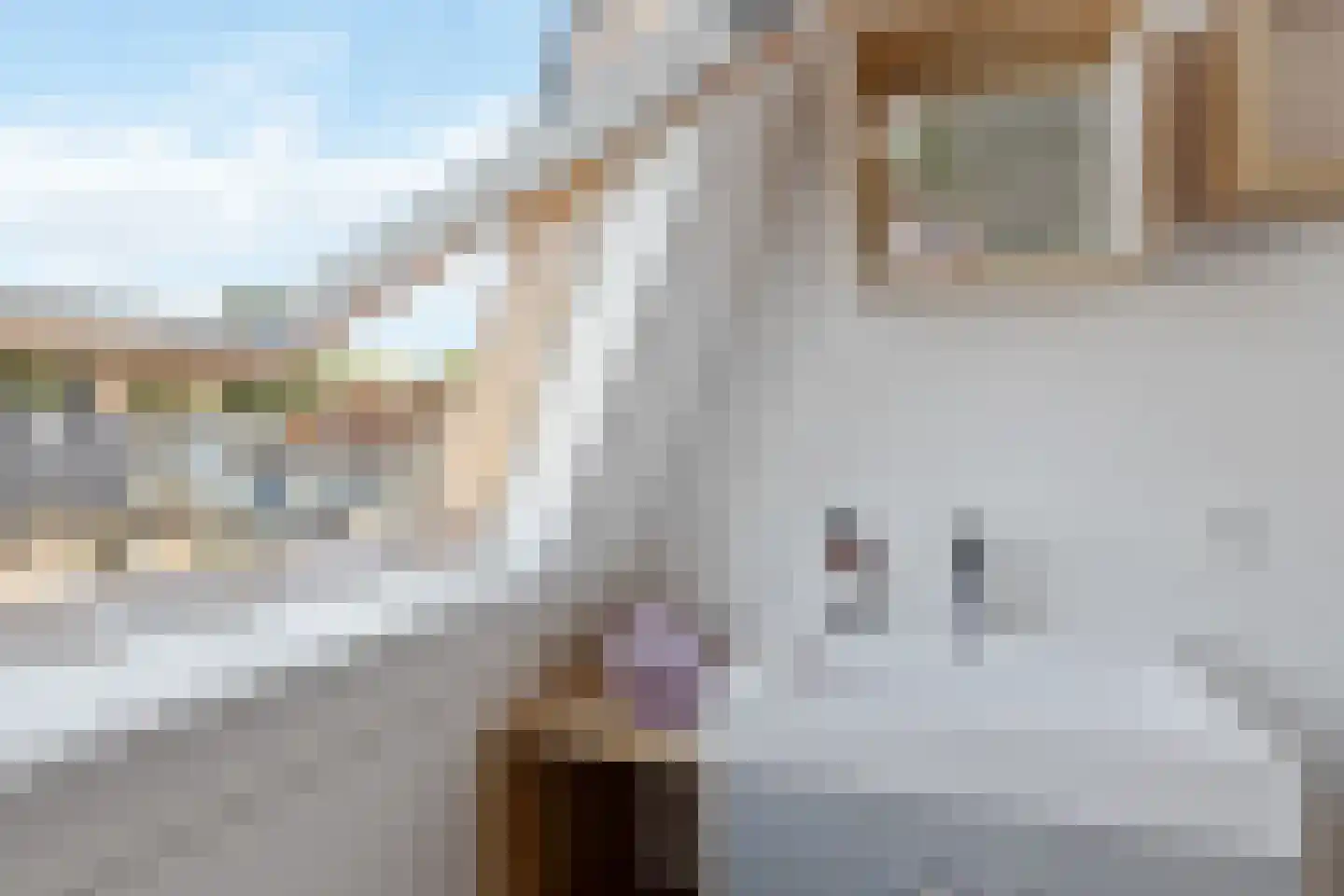Albert Grootlaan 7 Naarden thumbnail 37