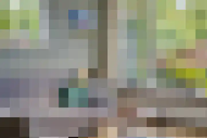 Albert Hahnlaan 16 Groningen thumbnail 11
