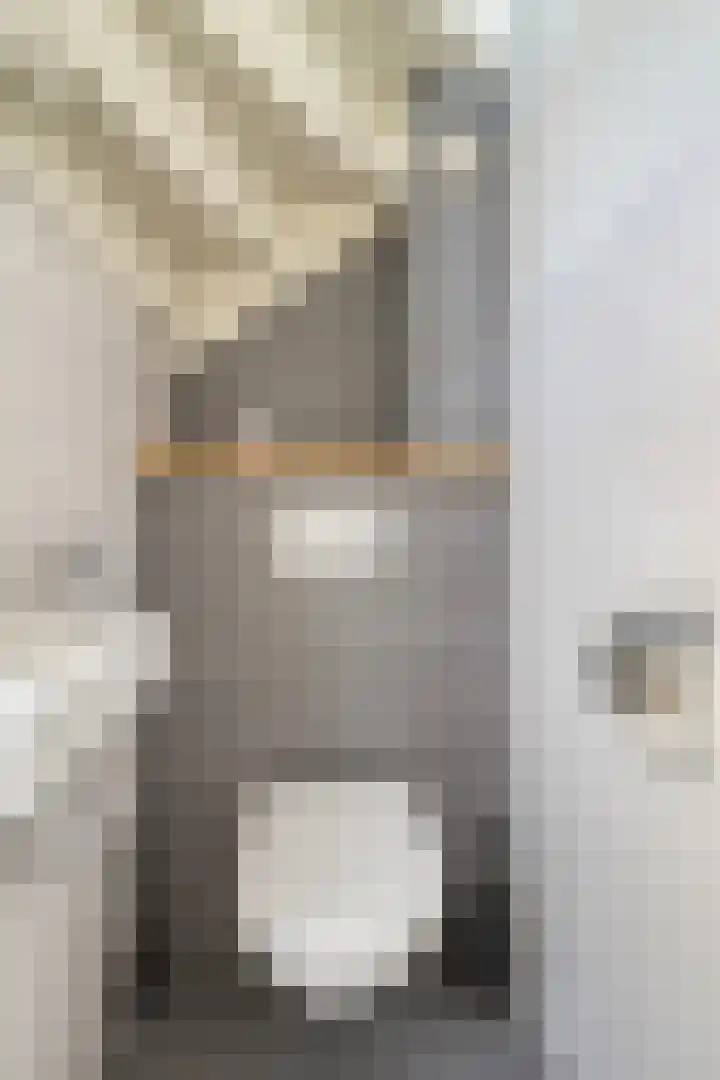 Albert Hahnlaan 16 Groningen thumbnail 20