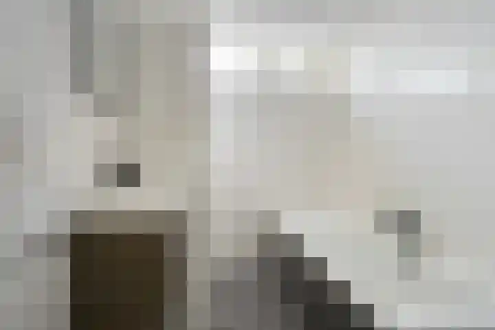 Albert Hahnlaan 16 Groningen thumbnail 25