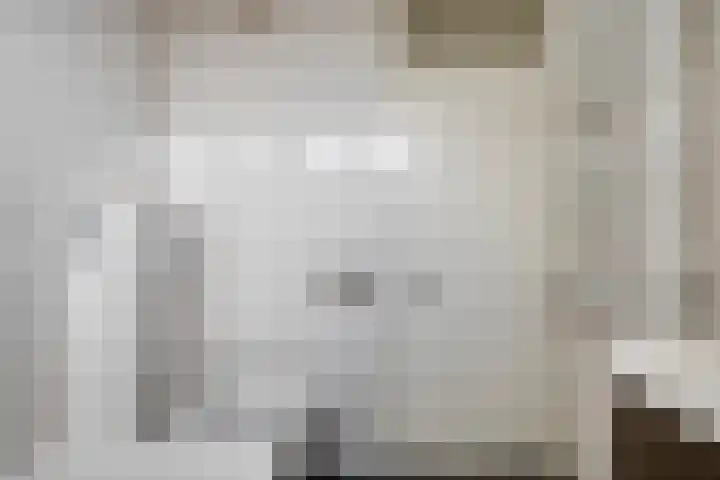 Albert Hahnlaan 16 Groningen thumbnail 26