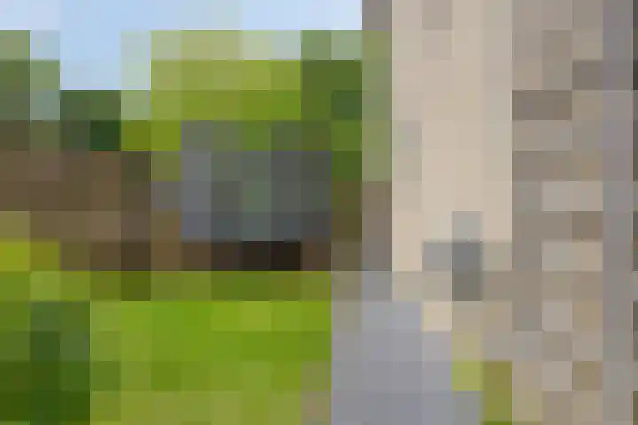 Albert Hahnlaan 16 Groningen thumbnail 42
