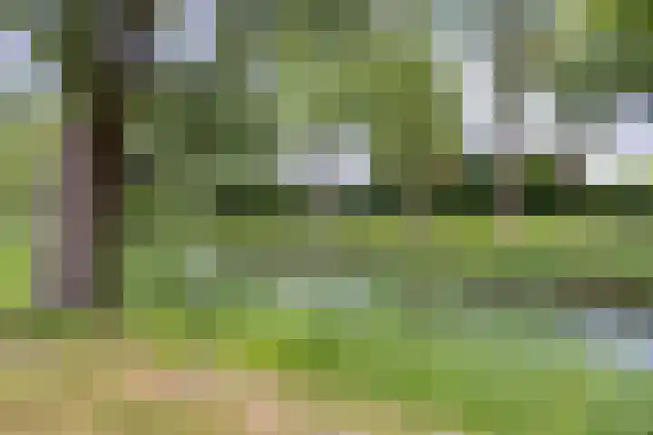 Albert Hahnlaan 16 Groningen thumbnail 45