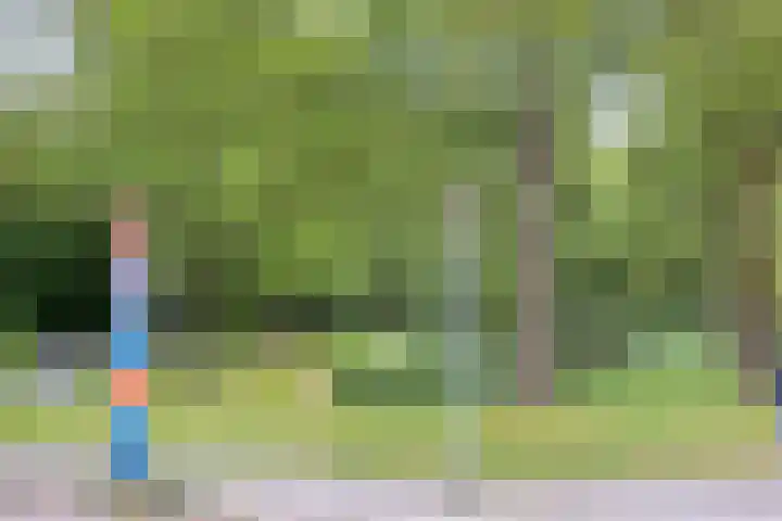 Albert Hahnlaan 16 Groningen thumbnail 47