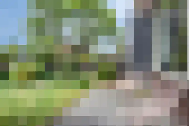 Albert Hahnlaan 16 Groningen thumbnail 6