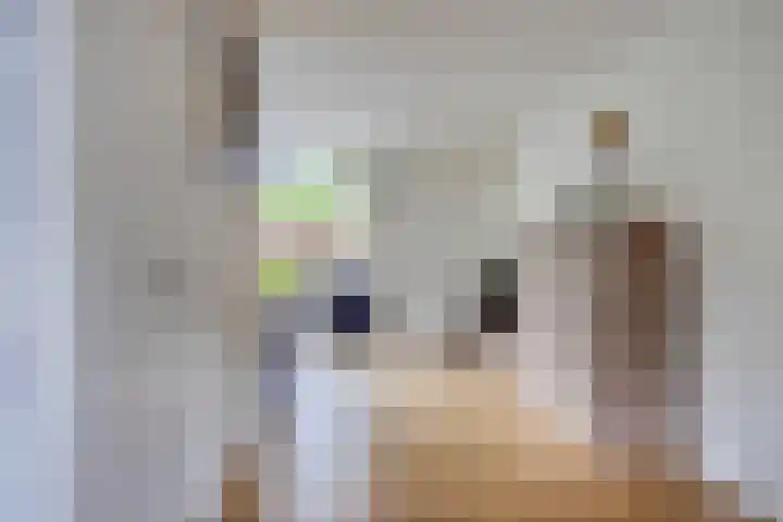 Albert Hahnlaan 16 Groningen thumbnail 8