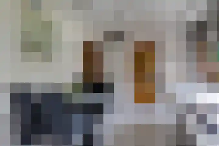 Albert Hahnlaan 49 Groningen thumbnail 13