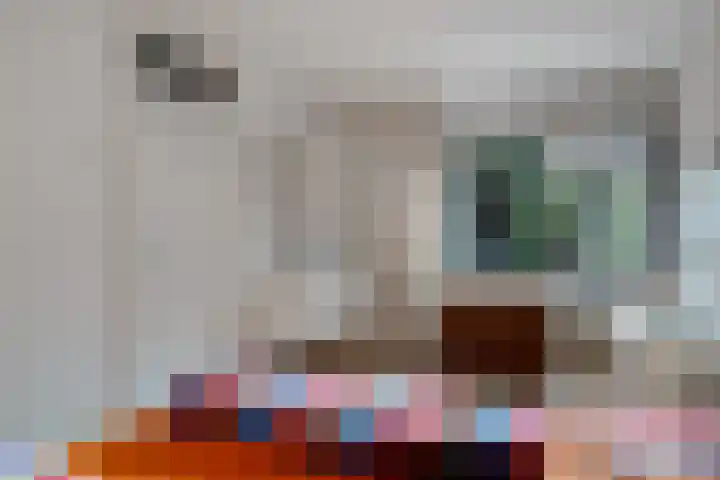 Albert Hahnlaan 49 Groningen thumbnail 21