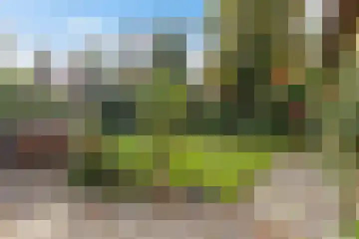 Albert Hahnlaan 49 Groningen thumbnail 26