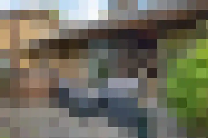 Albert Hahnlaan 49 Groningen thumbnail 28