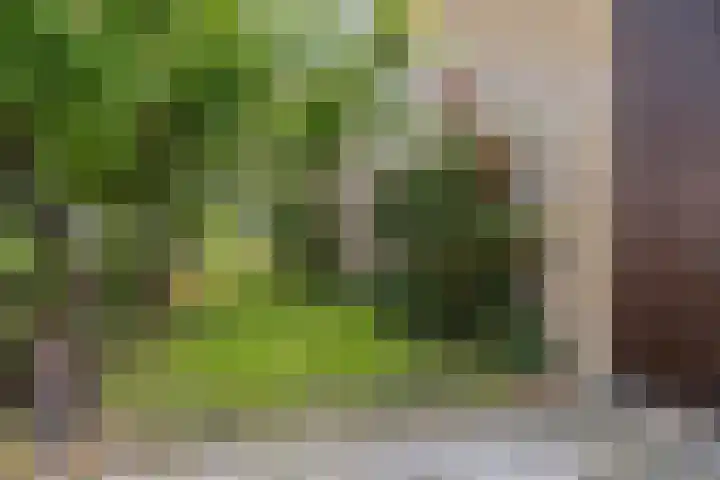 Albert Hahnlaan 49 Groningen thumbnail 32
