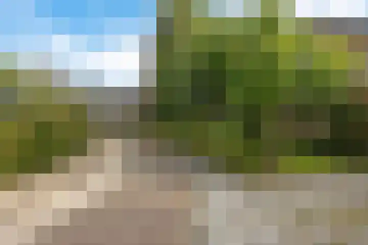 Albert Hahnlaan 49 Groningen thumbnail 33