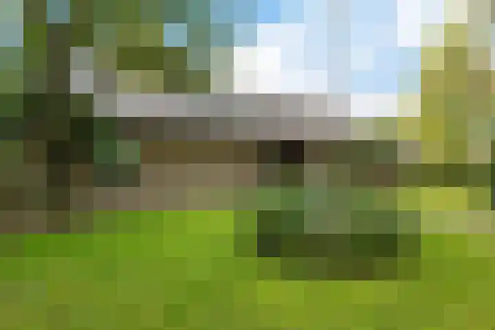 Albert Hahnlaan 49 Groningen thumbnail 4