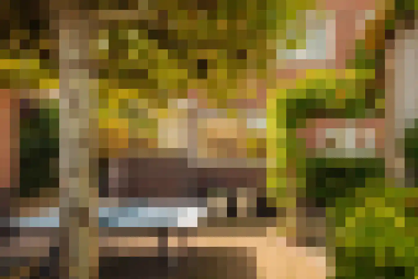 Albert Hahnplantsoen 21 Amsterdam thumbnail 13