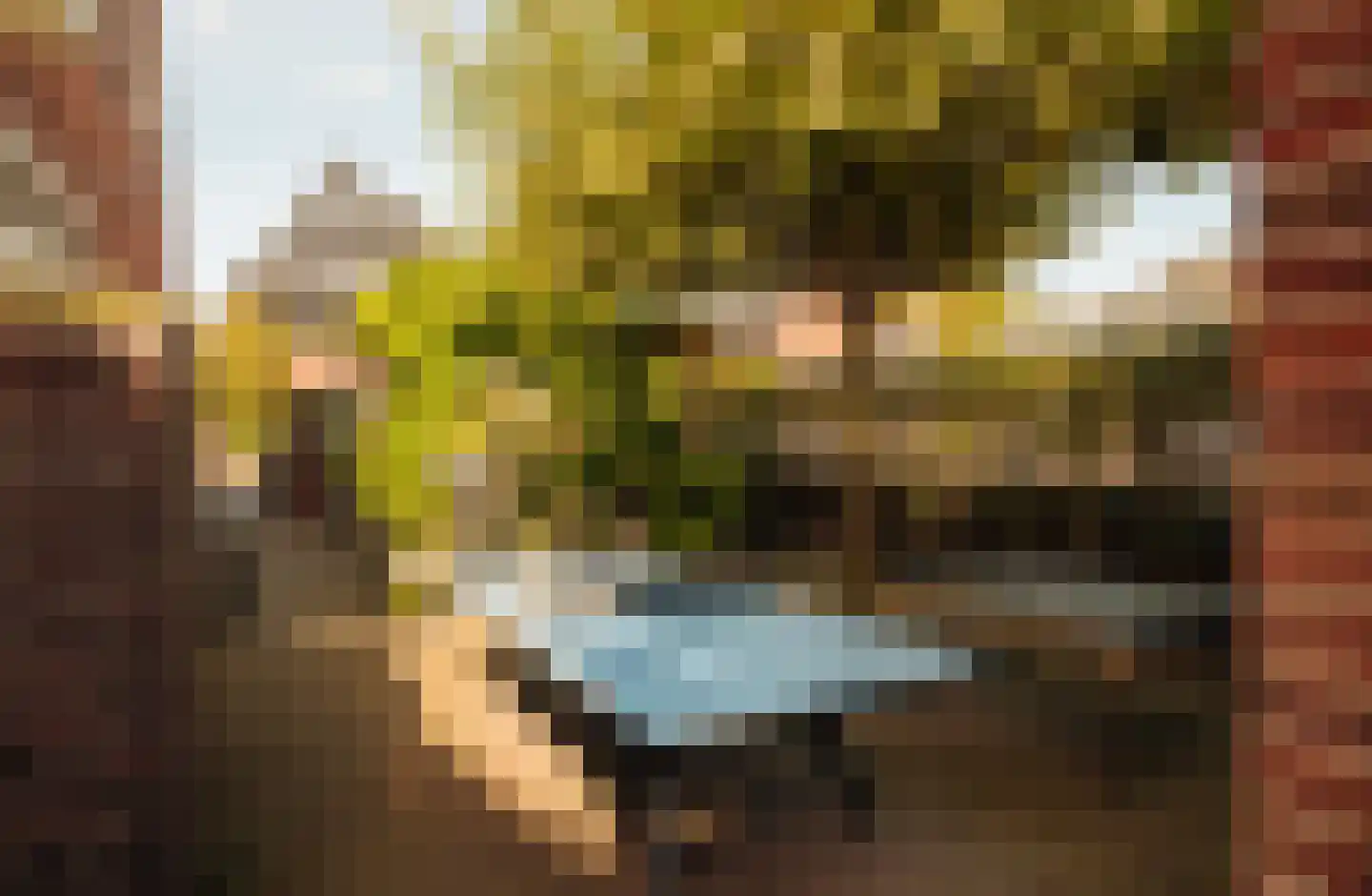 Albert Hahnplantsoen 21 Amsterdam thumbnail 14