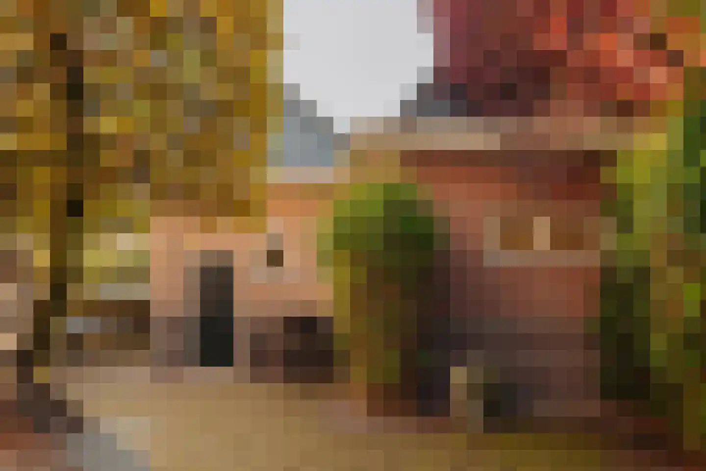 Albert Hahnplantsoen 21 Amsterdam thumbnail 16