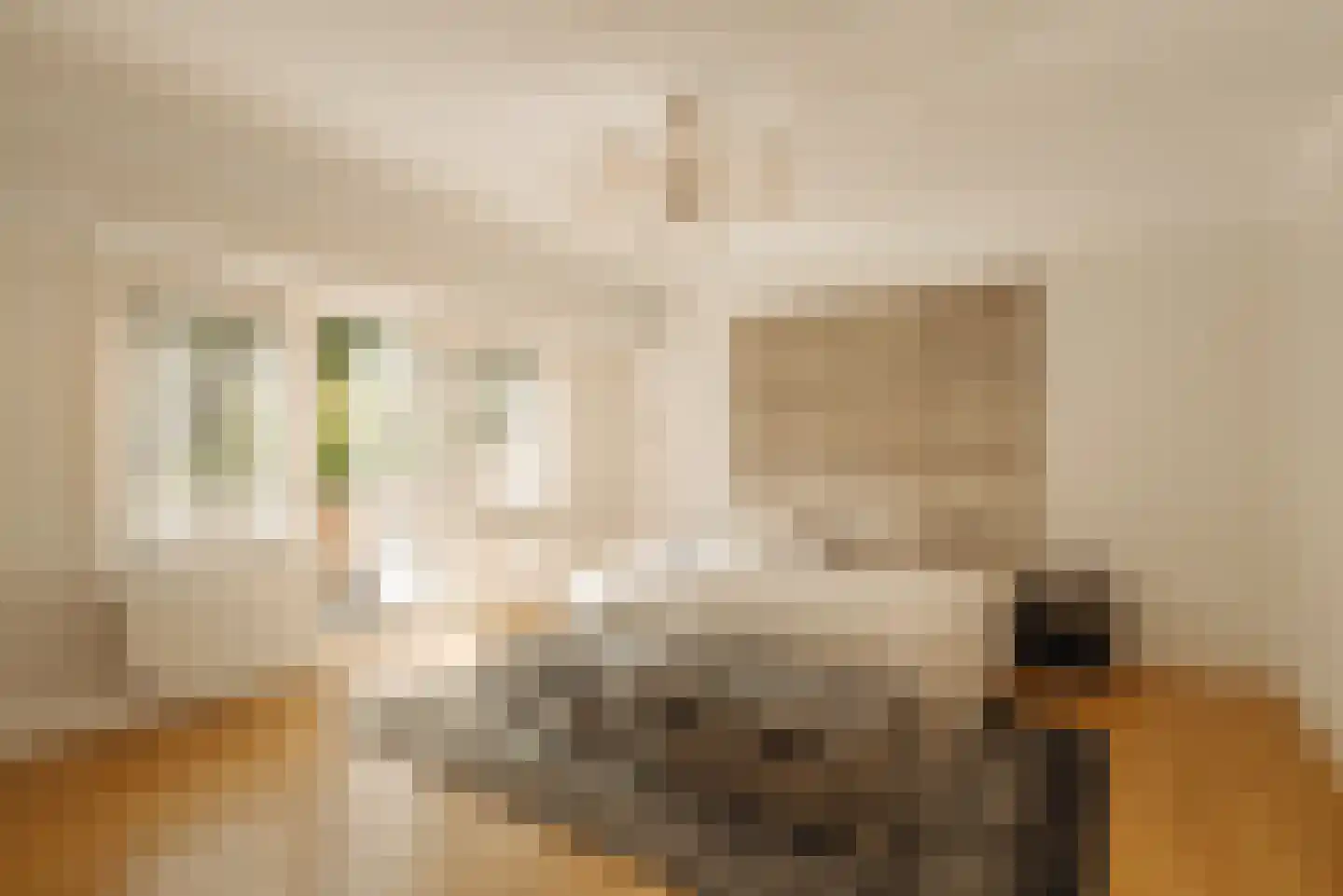 Albert Hahnplantsoen 21 Amsterdam thumbnail 20