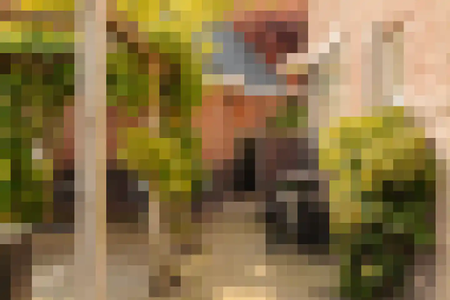 Albert Hahnplantsoen 21 Amsterdam thumbnail 5