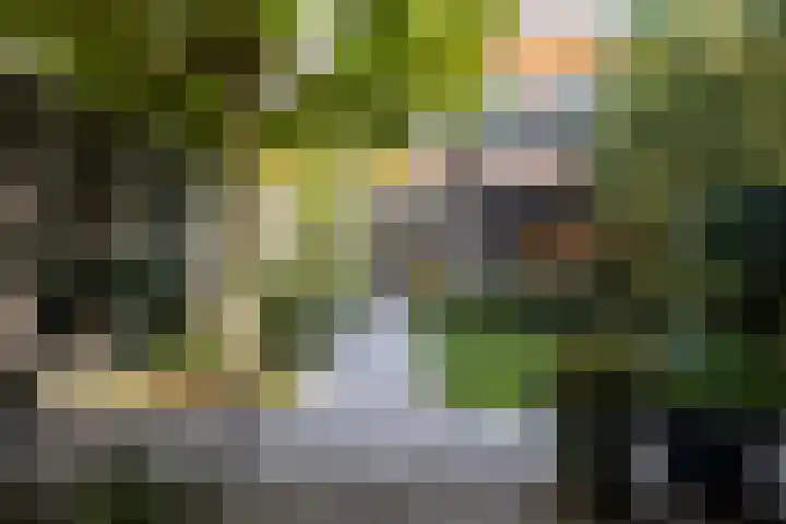 Albert Hahnstraat 9 Amersfoort thumbnail 21