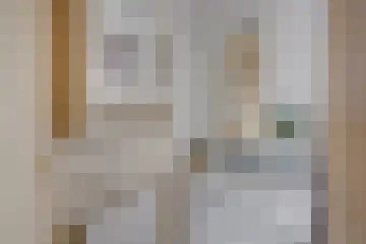 Albert Hahnweg 114 Lochem thumbnail 18