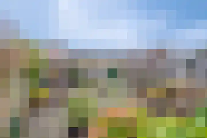 Albert Hahnweg 114 Lochem thumbnail 23
