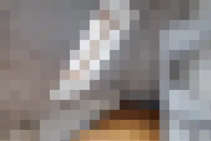 Albert Hahnweg 16 Lochem thumbnail 15