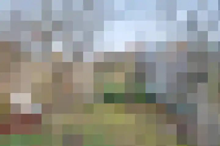 Albert Hahnweg 16 Lochem thumbnail 20