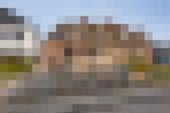Albert Hahnweg 16 Lochem thumbnail 22