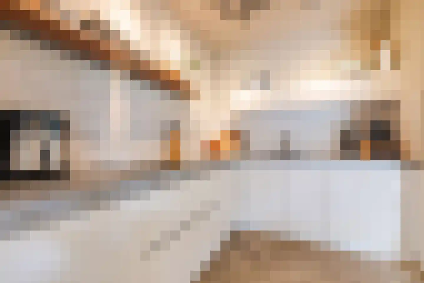 Albert Hahnweg 165 Lochem thumbnail 15