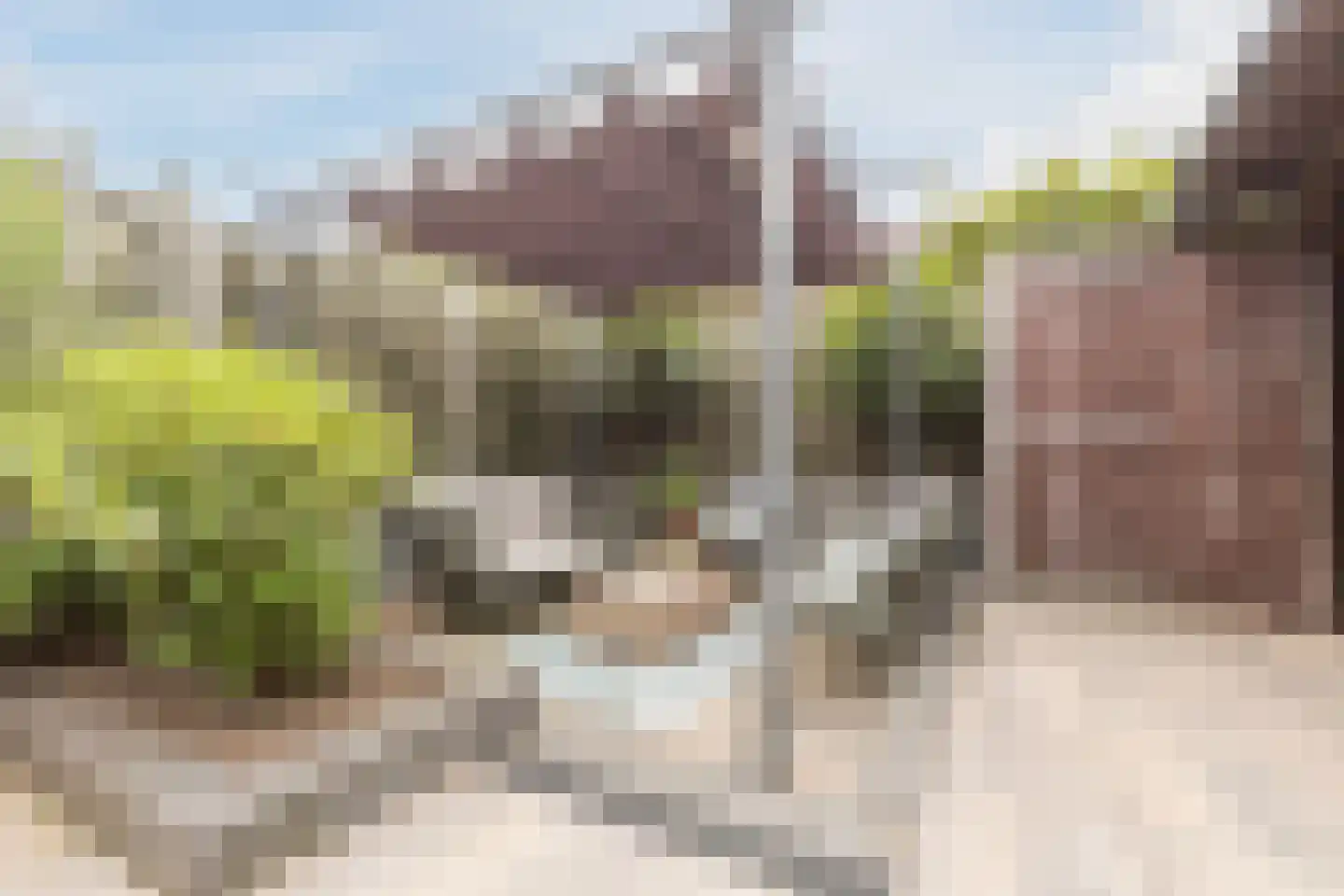 Albert Hahnweg 165 Lochem thumbnail 50