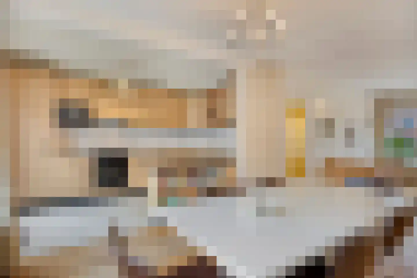 Albert Hahnweg 187 Lochem thumbnail 12