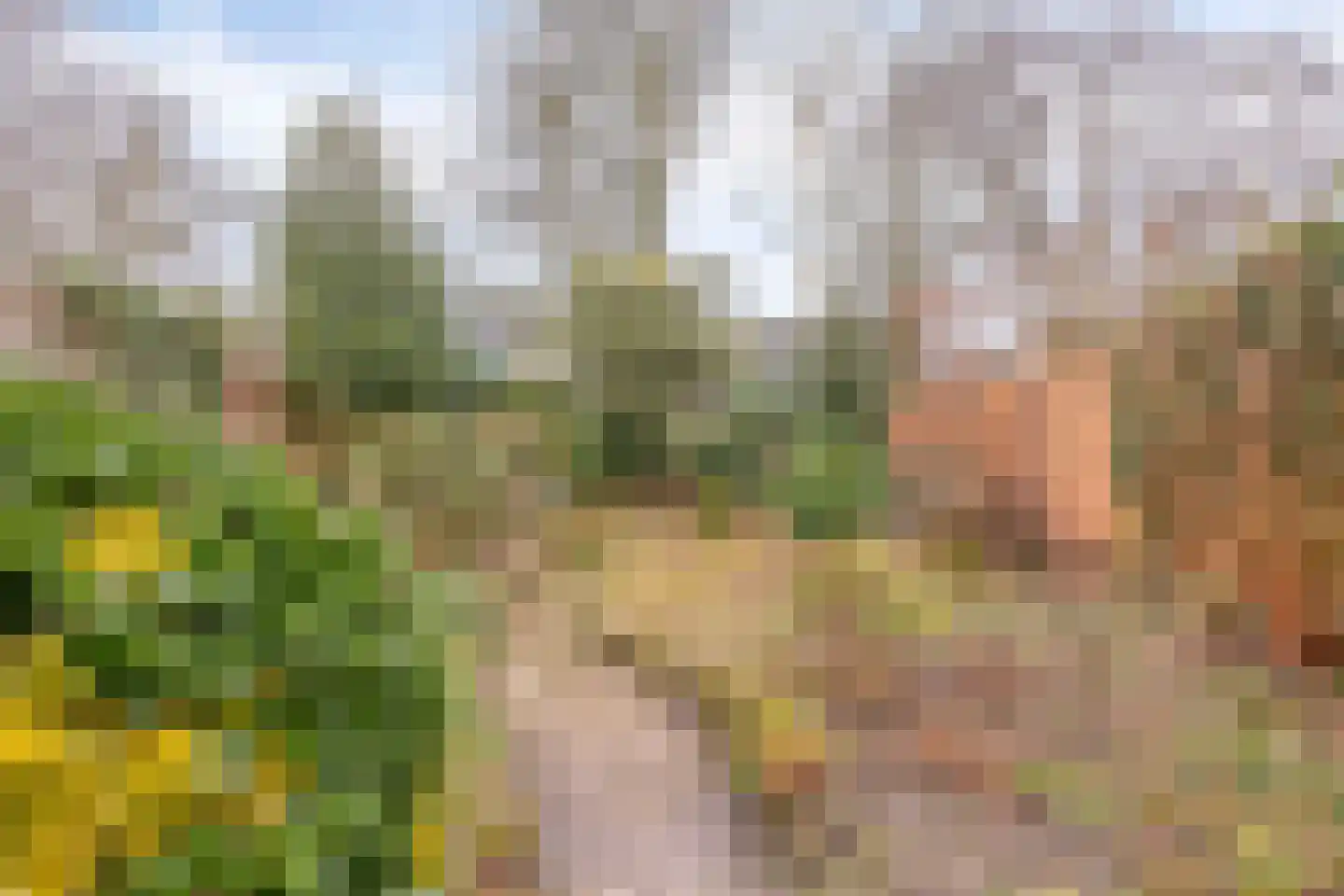 Albert Hahnweg 187 Lochem thumbnail 39