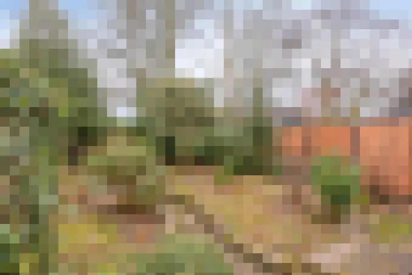 Albert Hahnweg 187 Lochem thumbnail 40