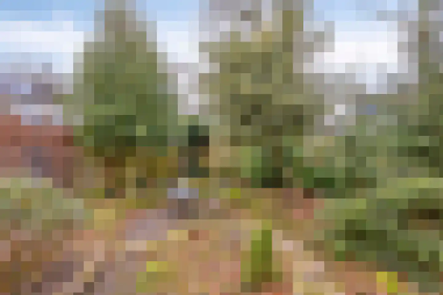 Albert Hahnweg 187 Lochem thumbnail 41