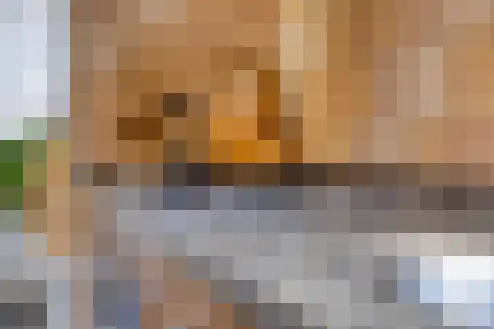 Albert Hahnweg 222 Lochem thumbnail 13