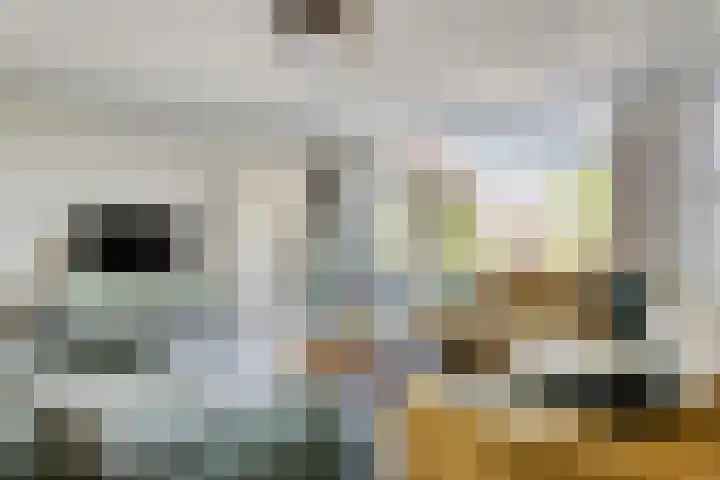 Albert Hahnweg 222 Lochem thumbnail 14