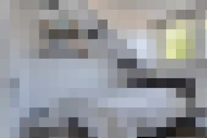 Albert Hahnweg 222 Lochem thumbnail 32