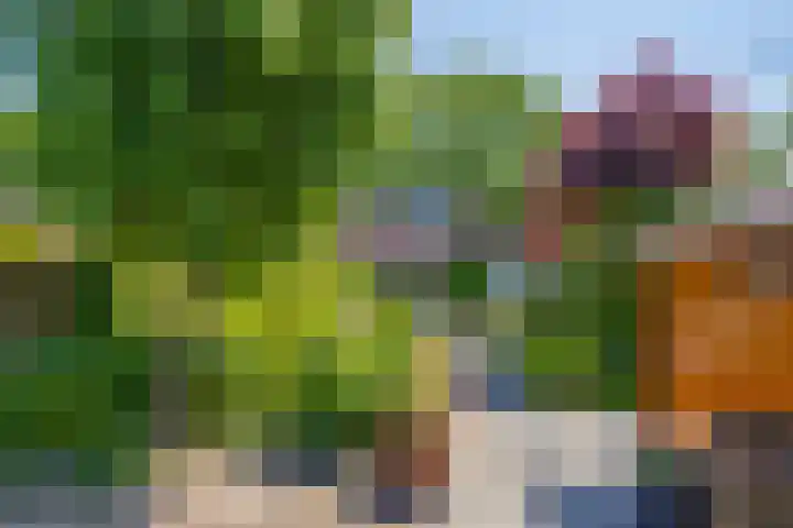 Albert Hahnweg 222 Lochem thumbnail 35