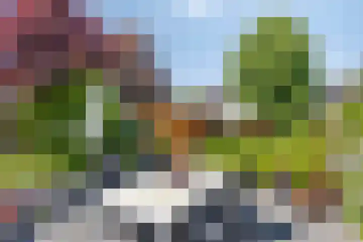 Albert Hahnweg 222 Lochem thumbnail 38
