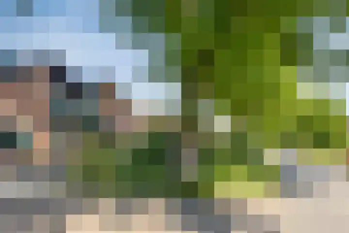Albert Hahnweg 222 Lochem thumbnail 44