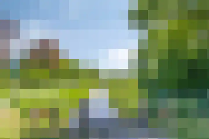 Albert Hahnweg 222 Lochem thumbnail 45