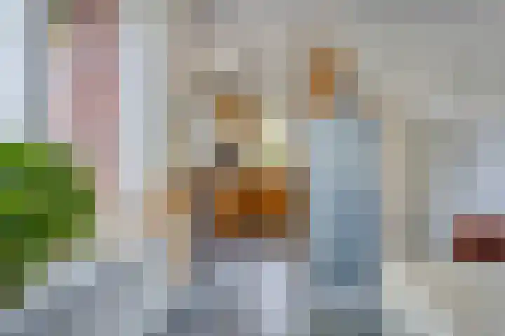 Albert Hahnweg 222 Lochem thumbnail 5