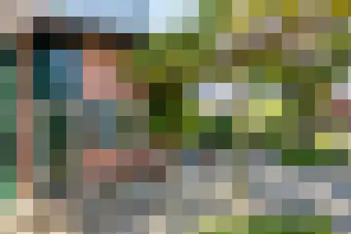 Albert Hahnweg 222 Lochem thumbnail 7