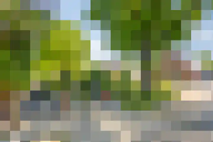 Albert Hahnweg 222 Lochem thumbnail 8