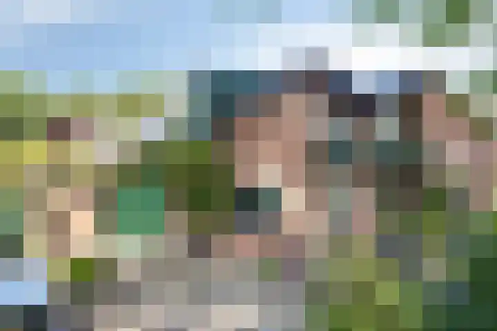 Albert Hahnweg 222 Lochem thumbnail 9